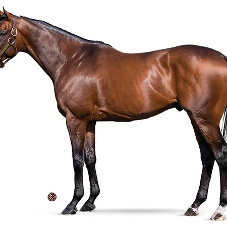 Dans T4 Hyper Proche De La Gare Sncf Et A 300m De La Gare Routiere * Creil